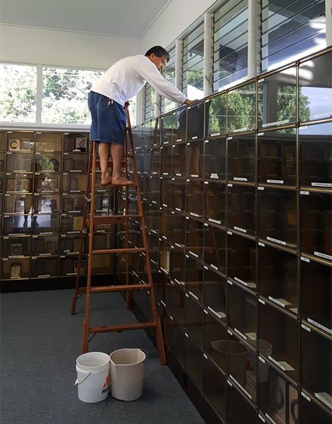 A man high on a ladder wipes down the top of tall, glass-faced shelving