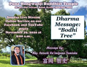 Dharma Message Bodhi Tree 11-29-20